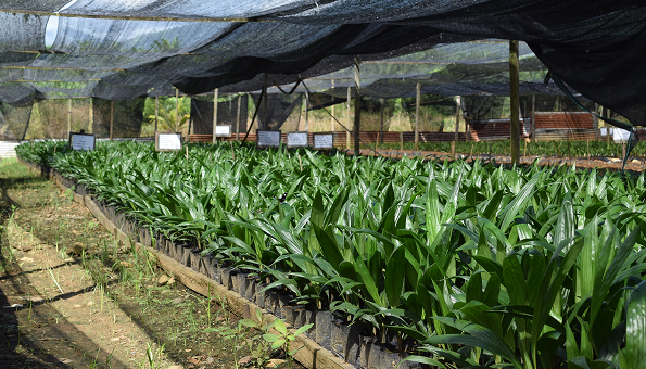 Looking For Land To Secure Future Growth